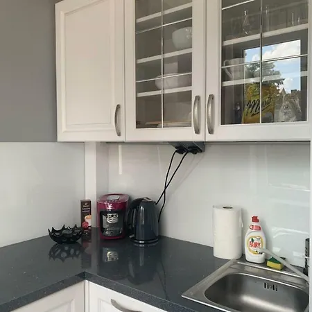Apartament Mlynska *